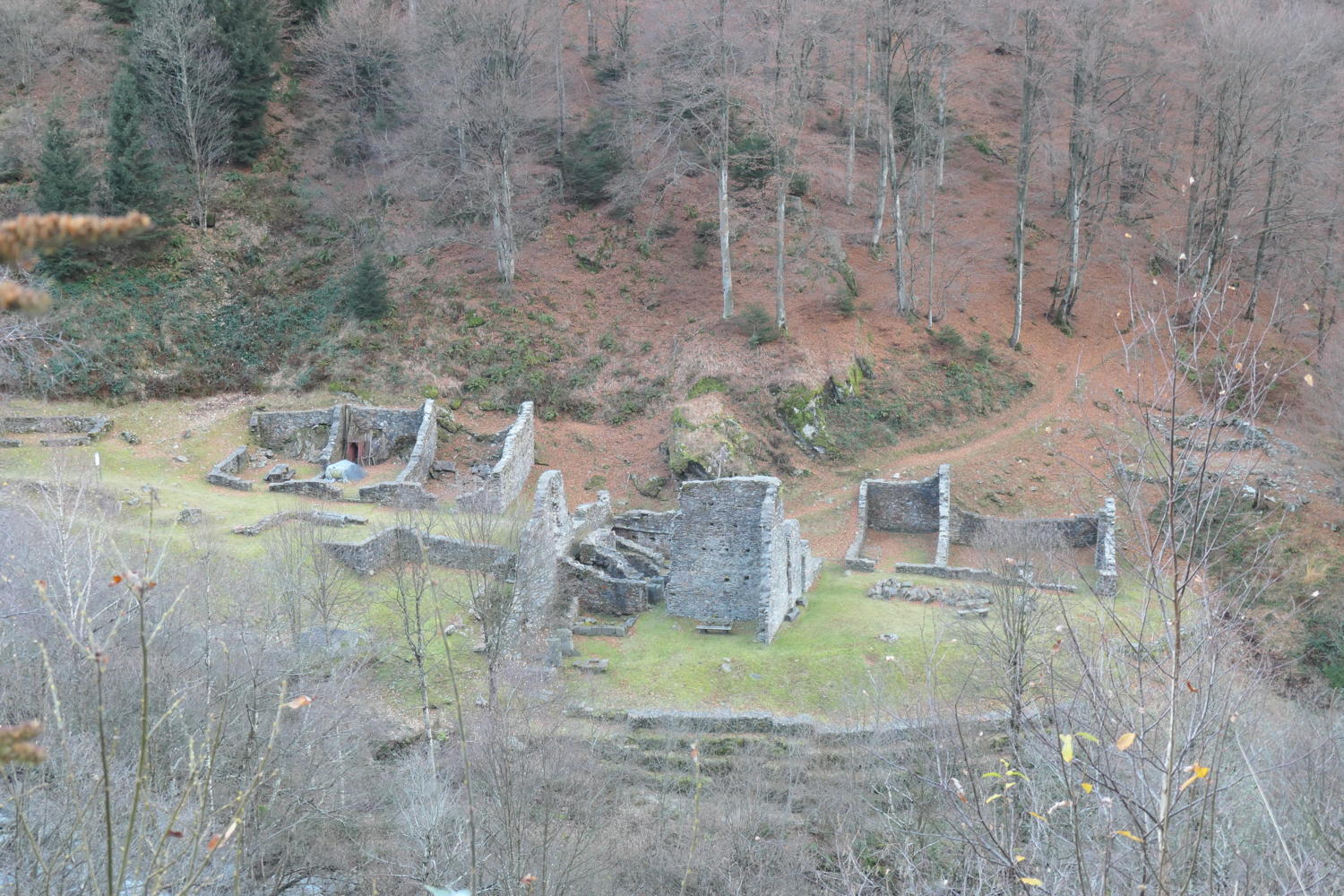 p1002022.jpg
