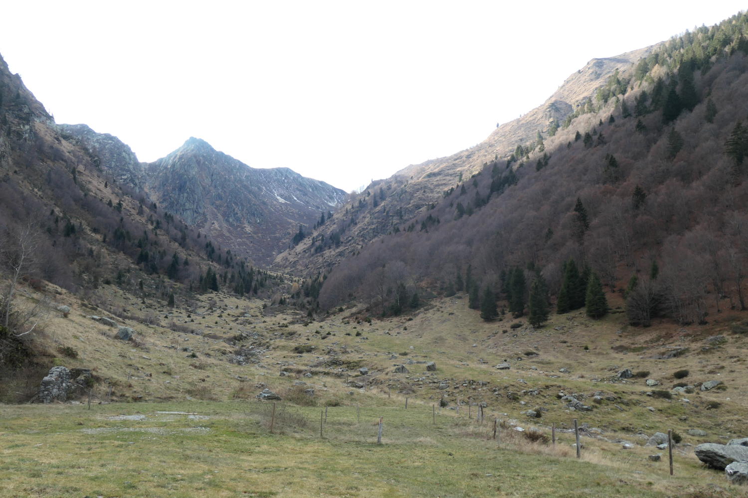 p1002024.jpg