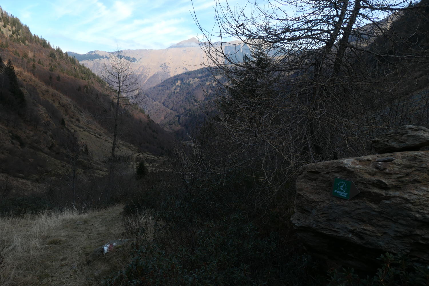 p1002026.jpg