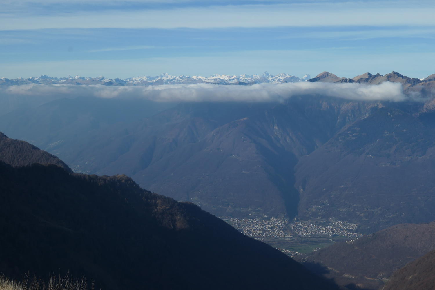 p1002031.jpg