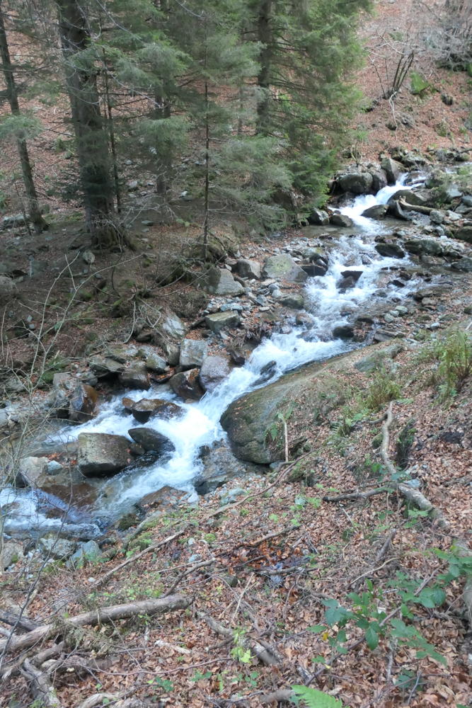 p1002041.jpg
