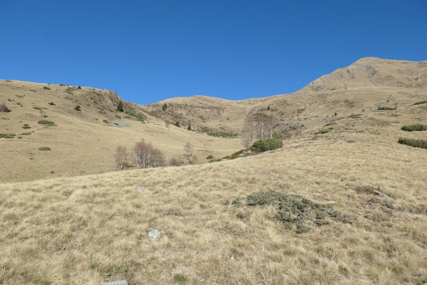 p1002046.jpg