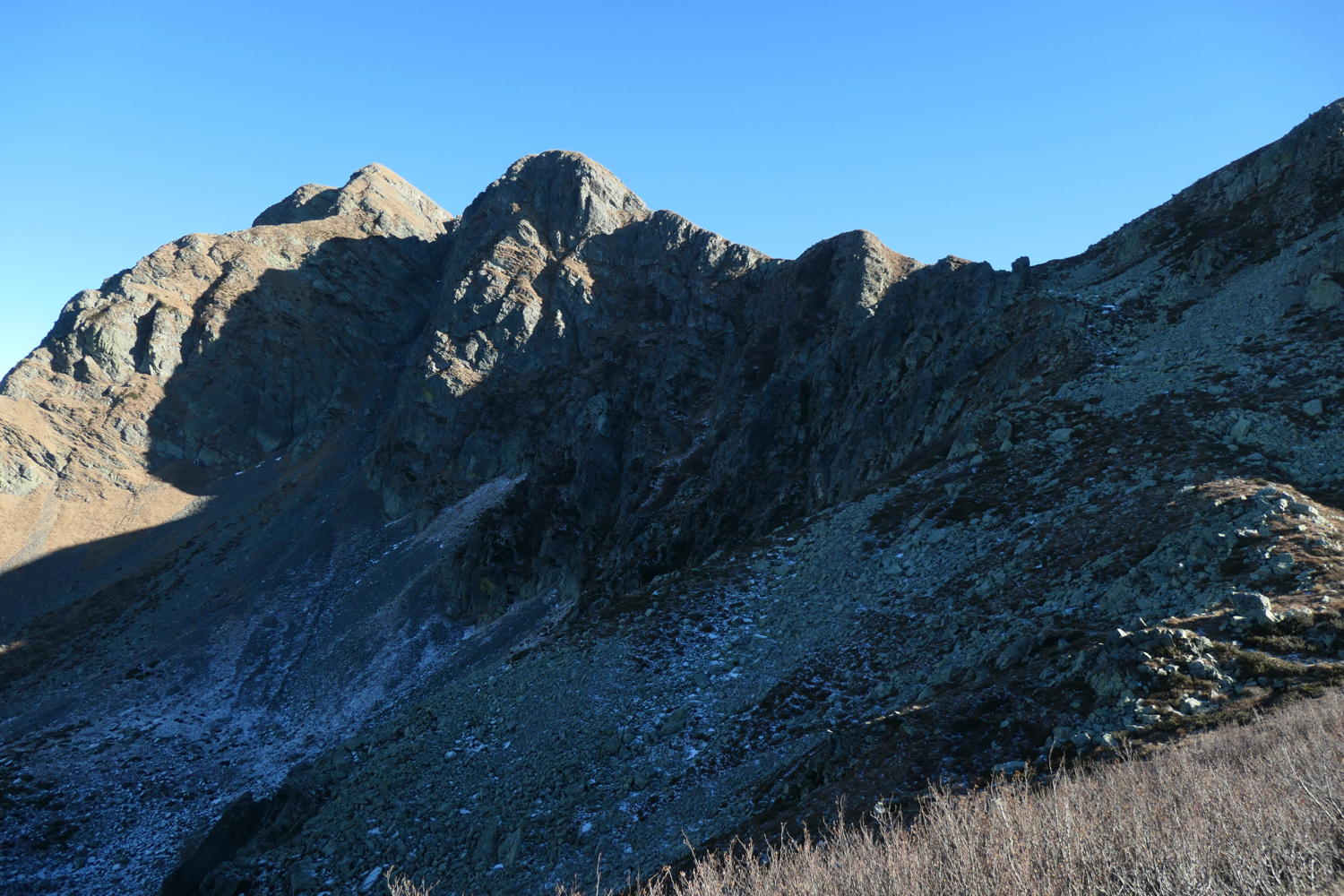 p1002059.jpg