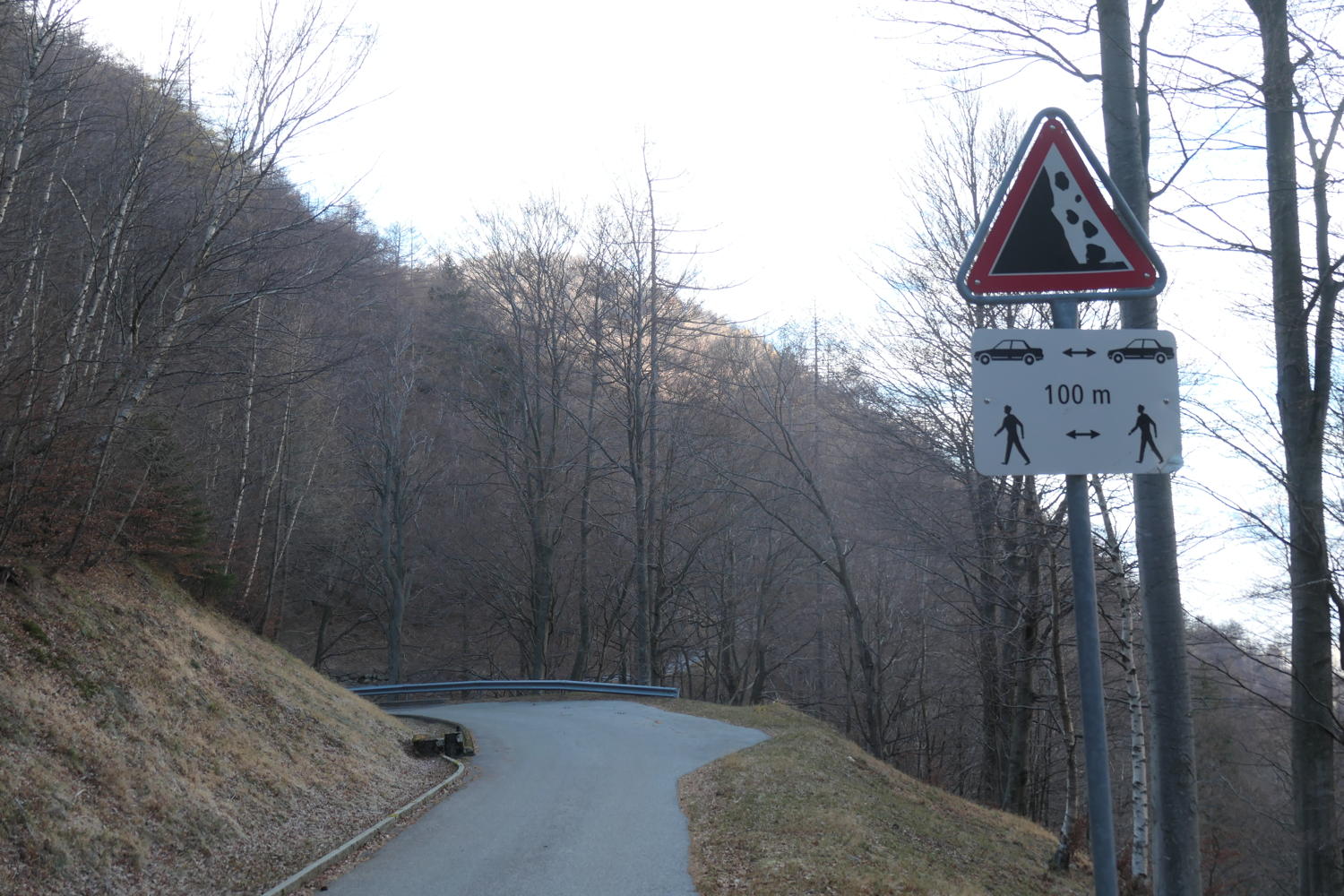 p1002066.jpg