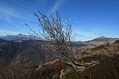 p1002036.jpg