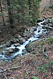 p1002041.jpg
