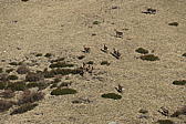 p1002054.jpg