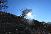 p1002055.jpg