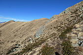 p1002058.jpg