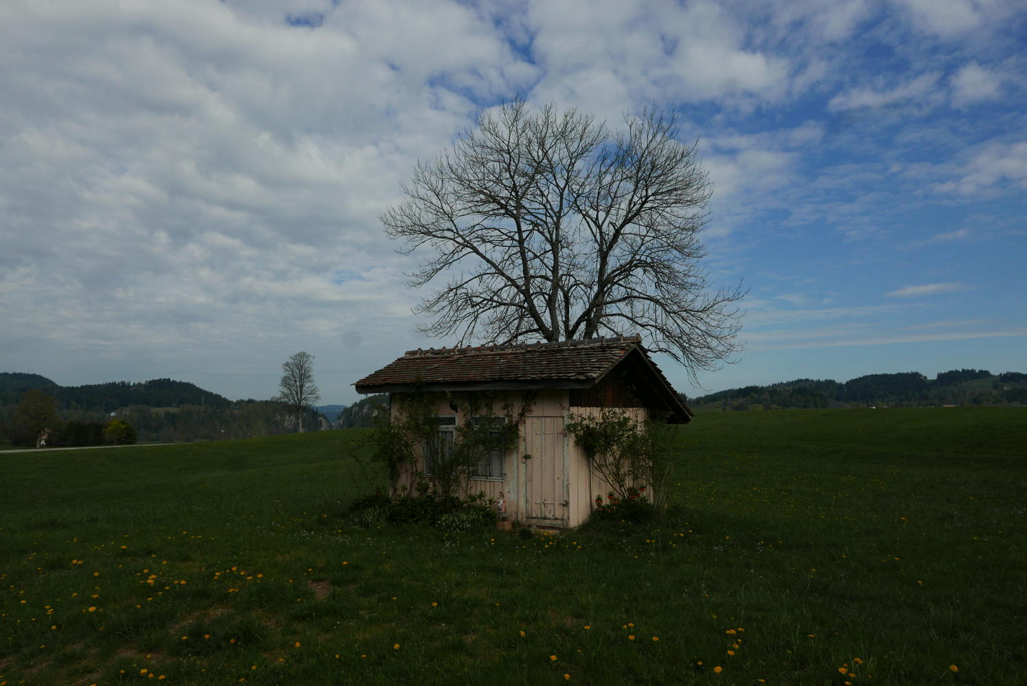 p1190686.jpg
