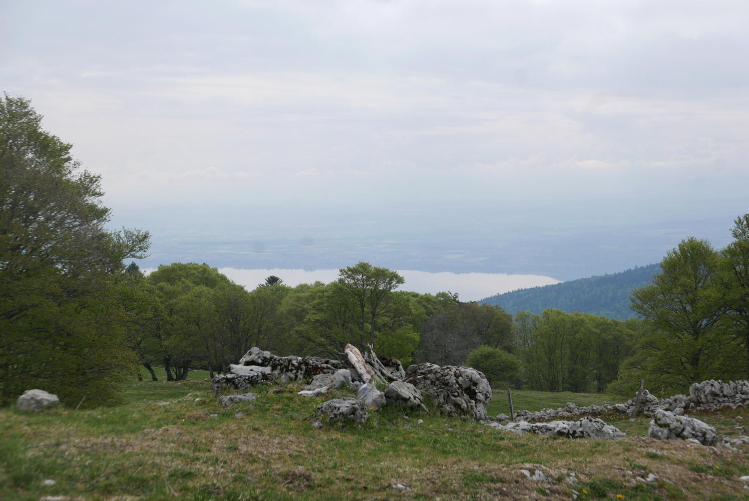 p1190733.jpg