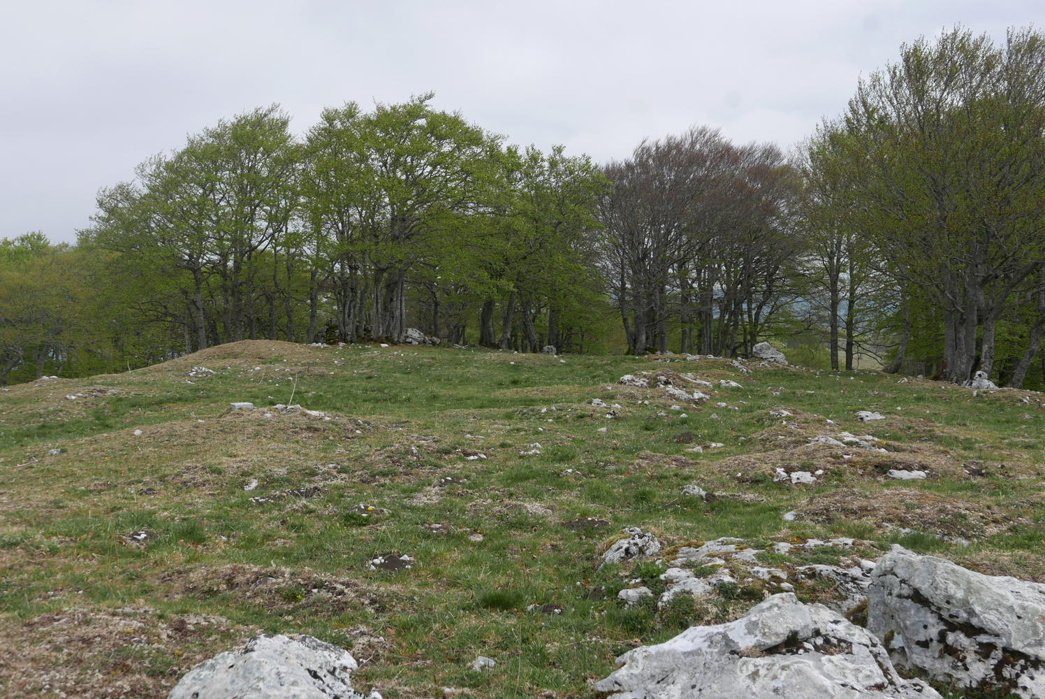 p1190734.jpg