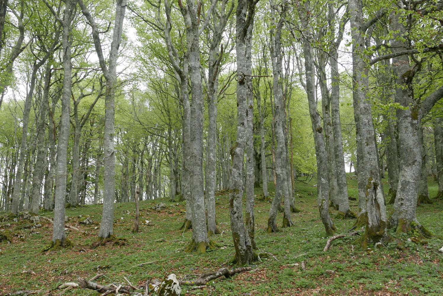 p1190743.jpg