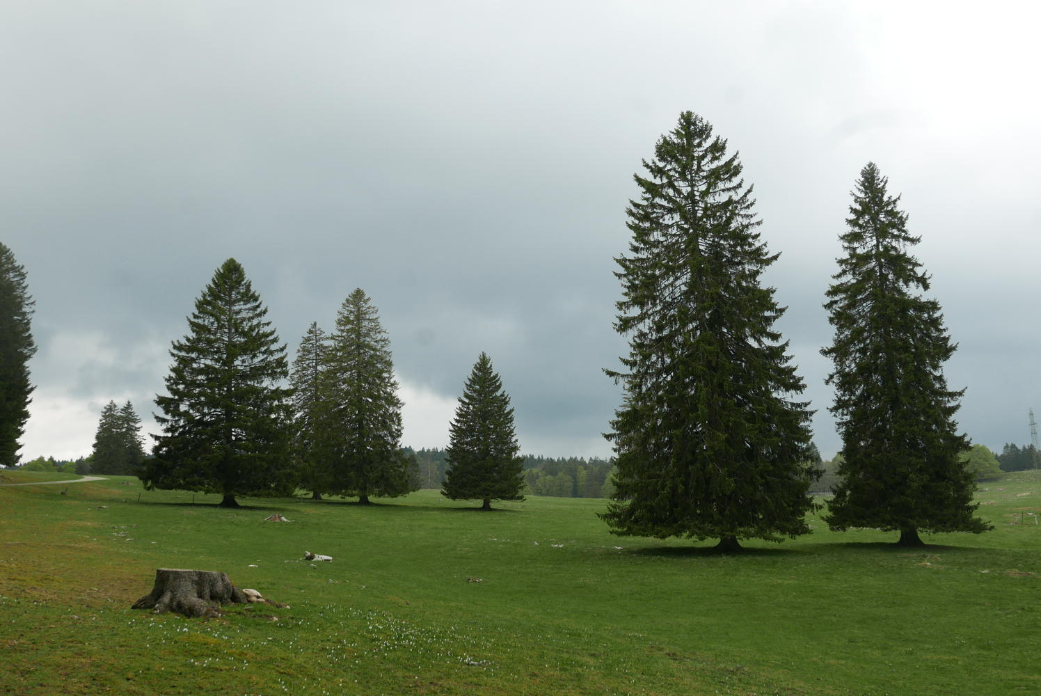 p1190746.jpg