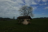 p1190686.jpg