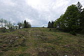 p1190697.jpg
