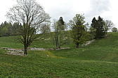p1190704.jpg
