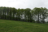 p1190727.jpg
