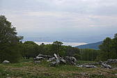 p1190733.jpg