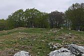 p1190734.jpg