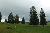 p1190746.jpg