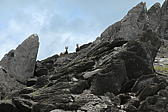 p1000767.jpg