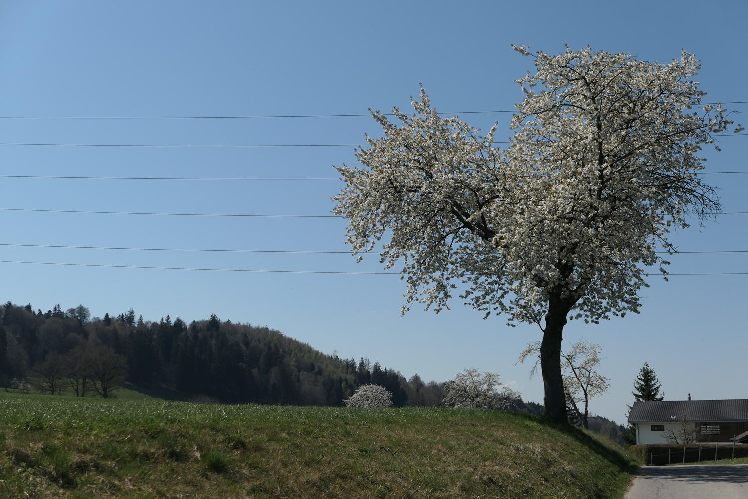 p1040119.jpg