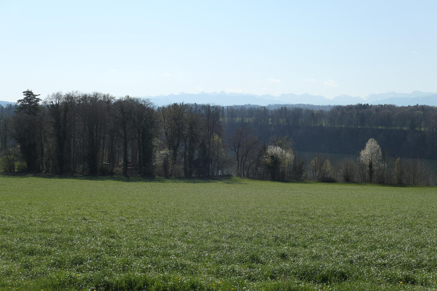 p1040131.jpg