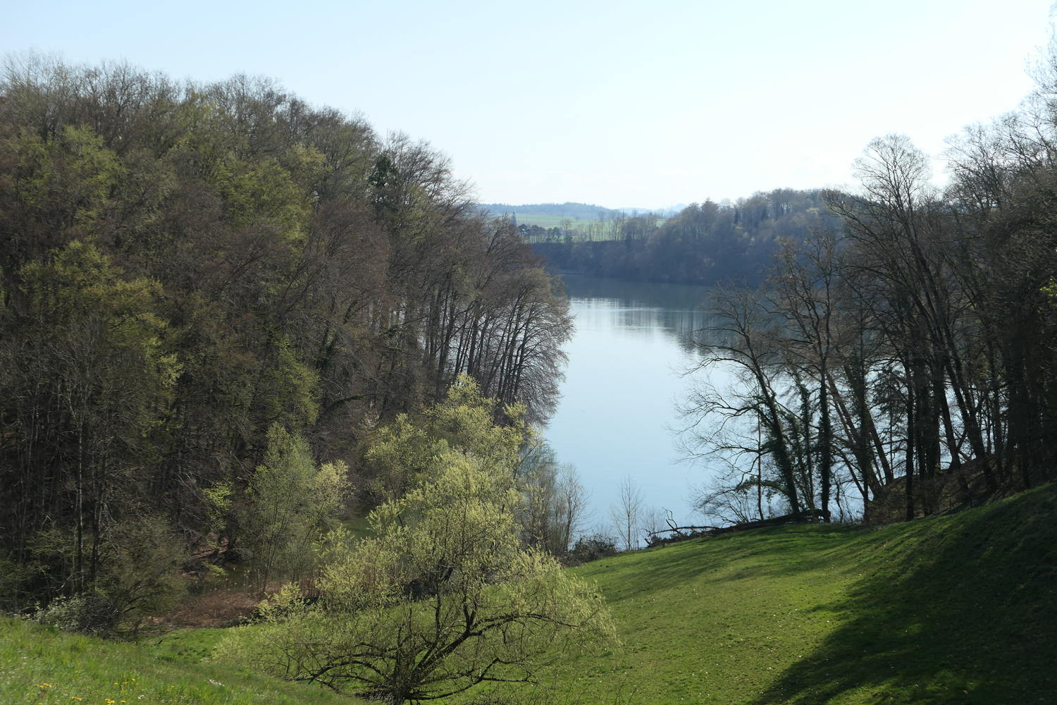 p1040134.jpg