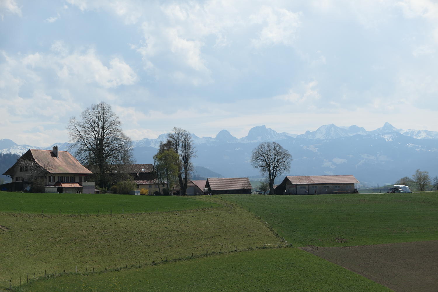 p1040146.jpg