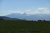 p1040090.jpg