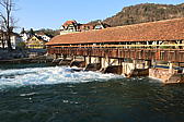 p1040098.jpg