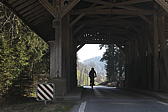 p1040111.jpg