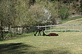 p1040141.jpg