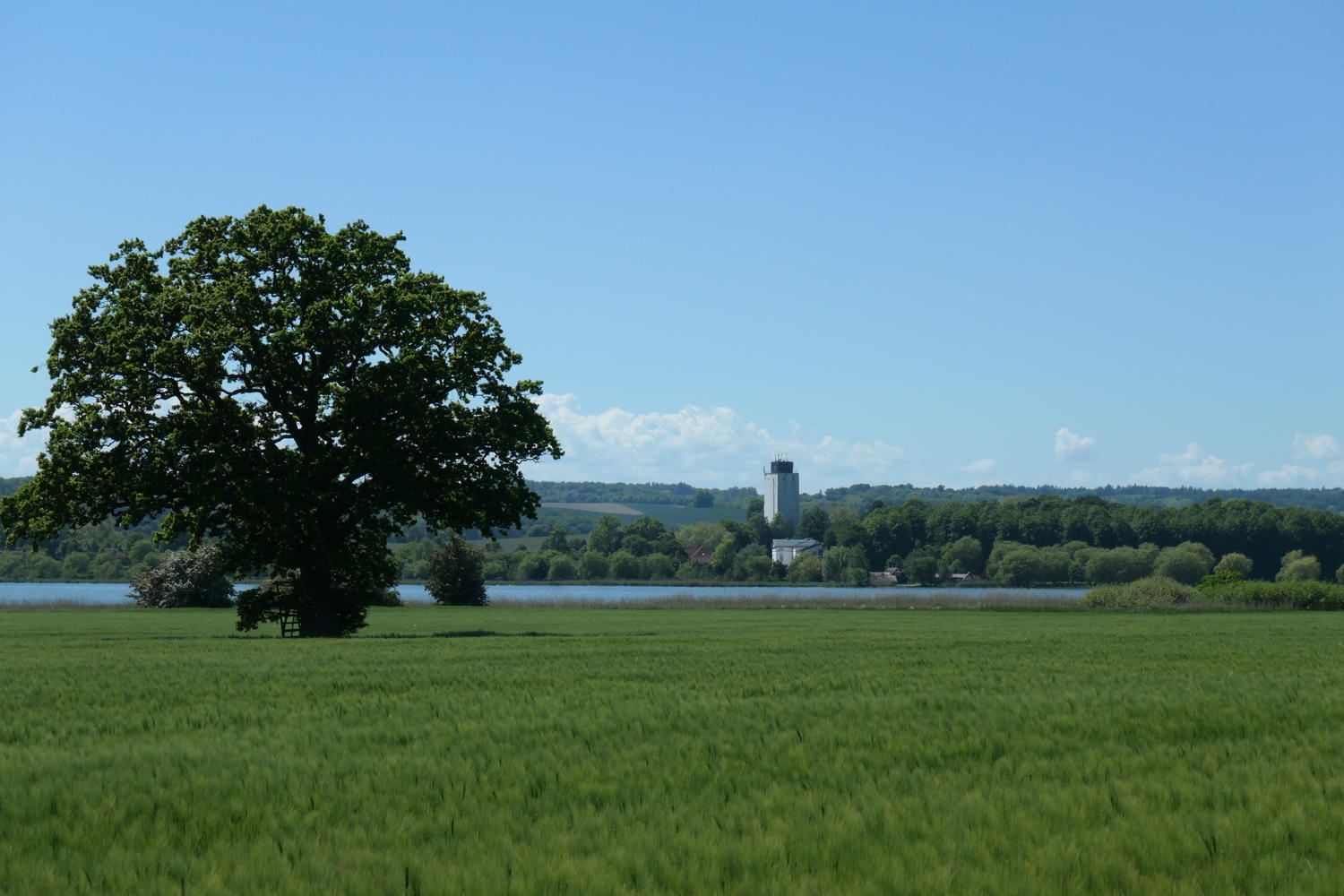 p1000160.jpg