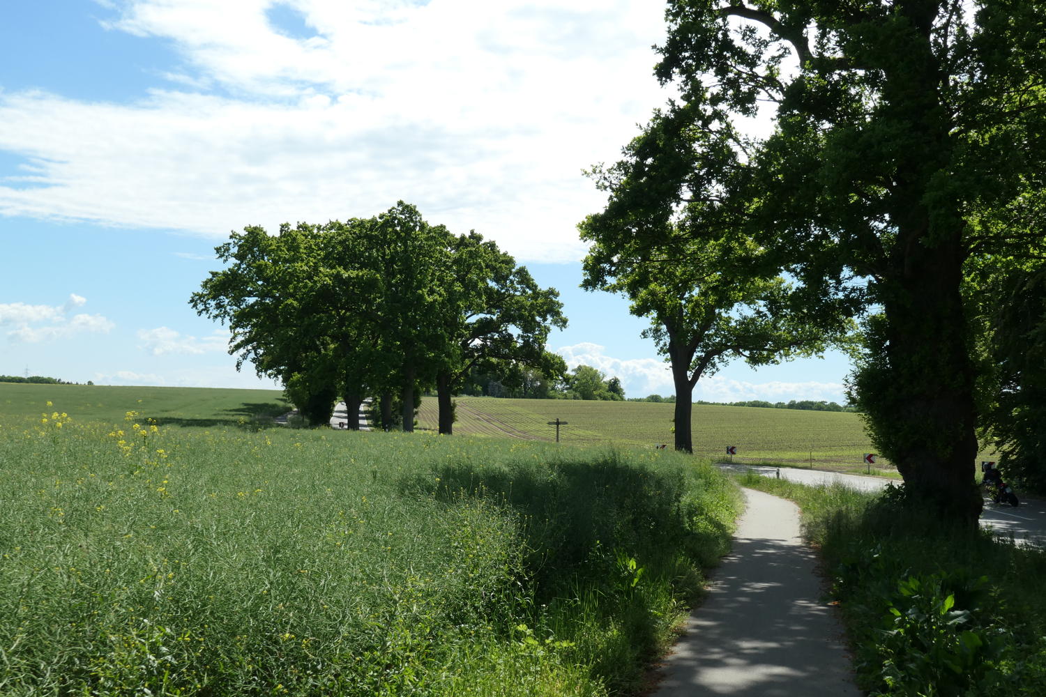 p1000163.jpg