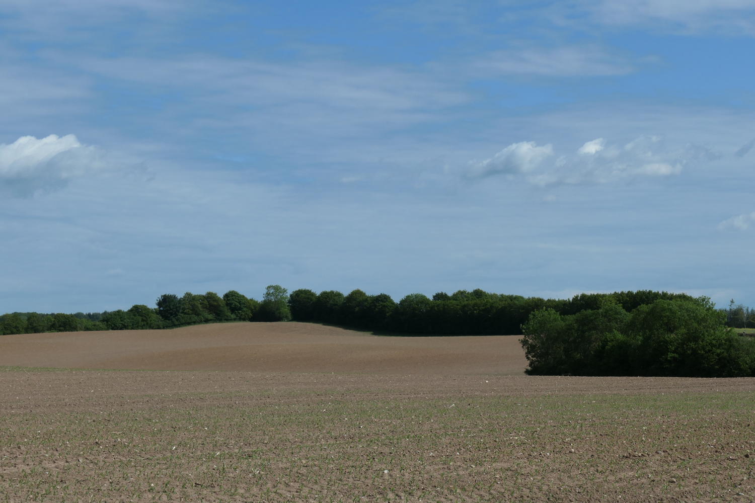 p1000167.jpg