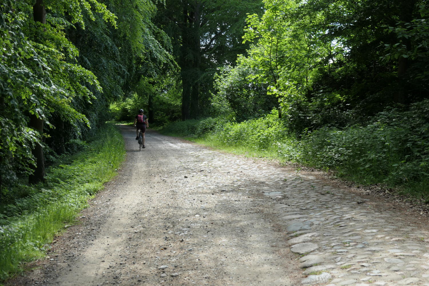 p1000168.jpg