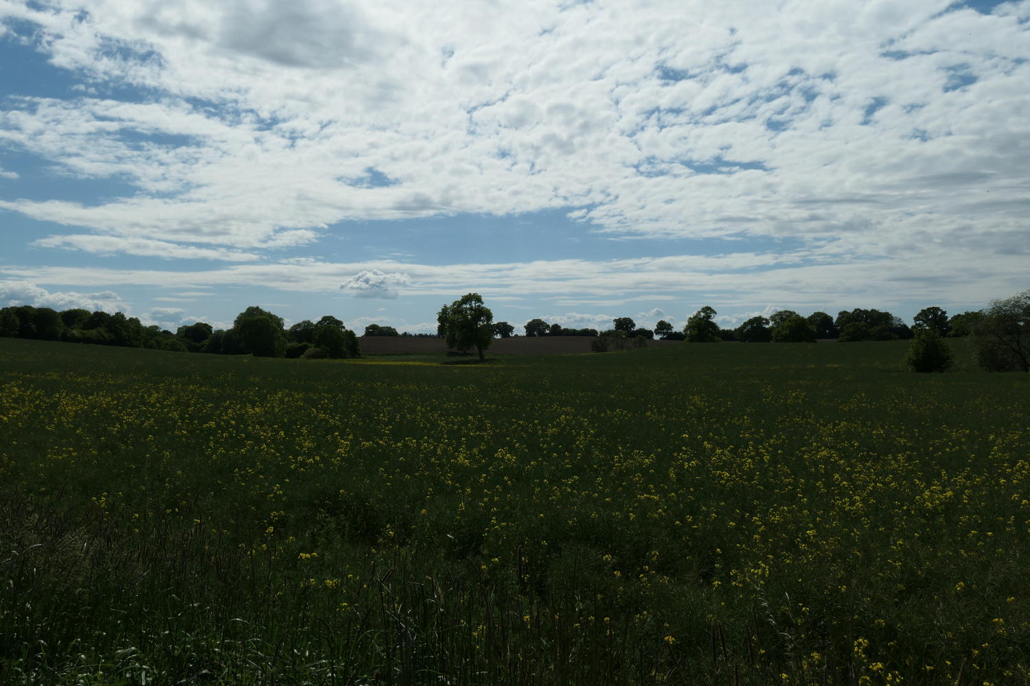 p1000172.jpg