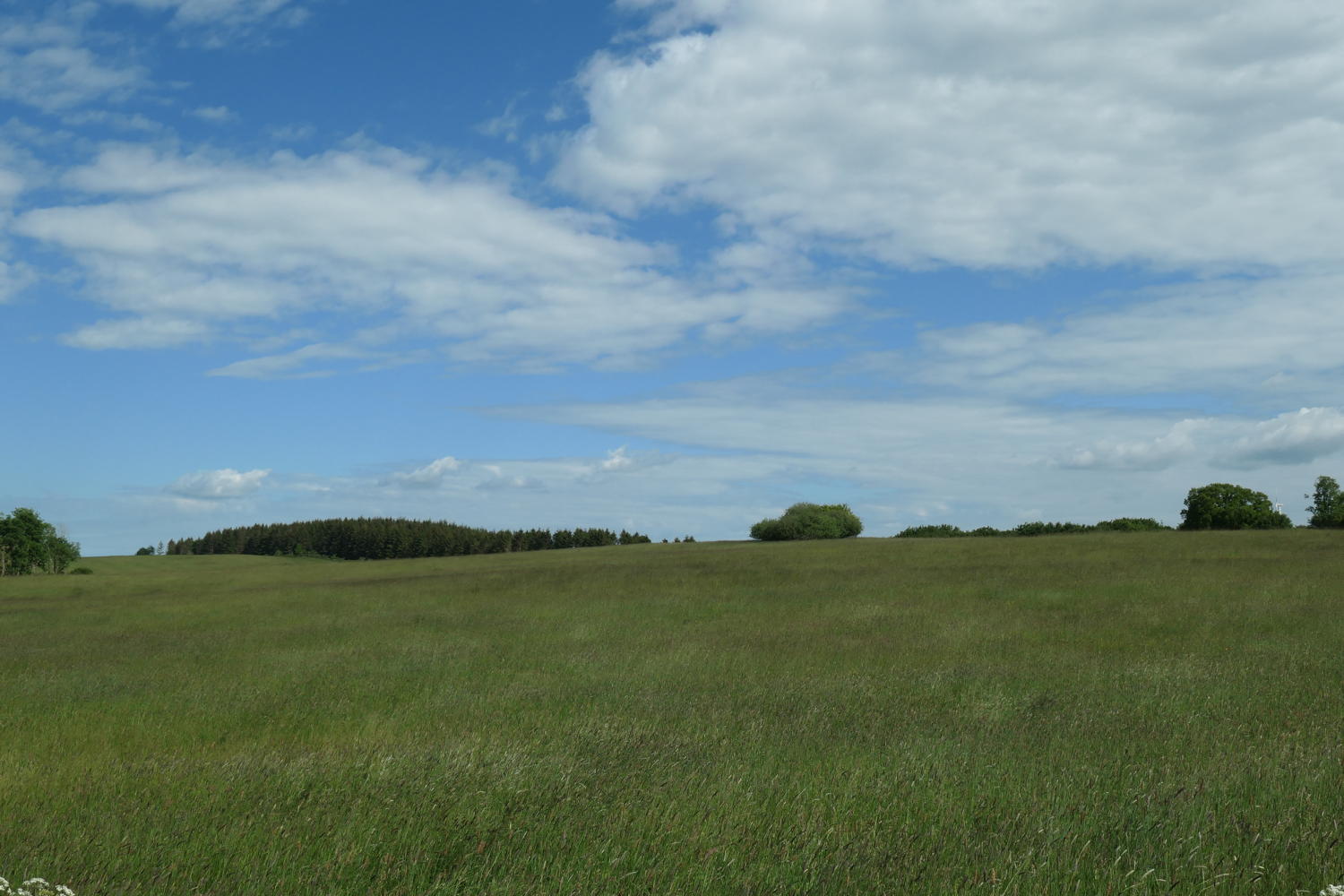 p1000175.jpg
