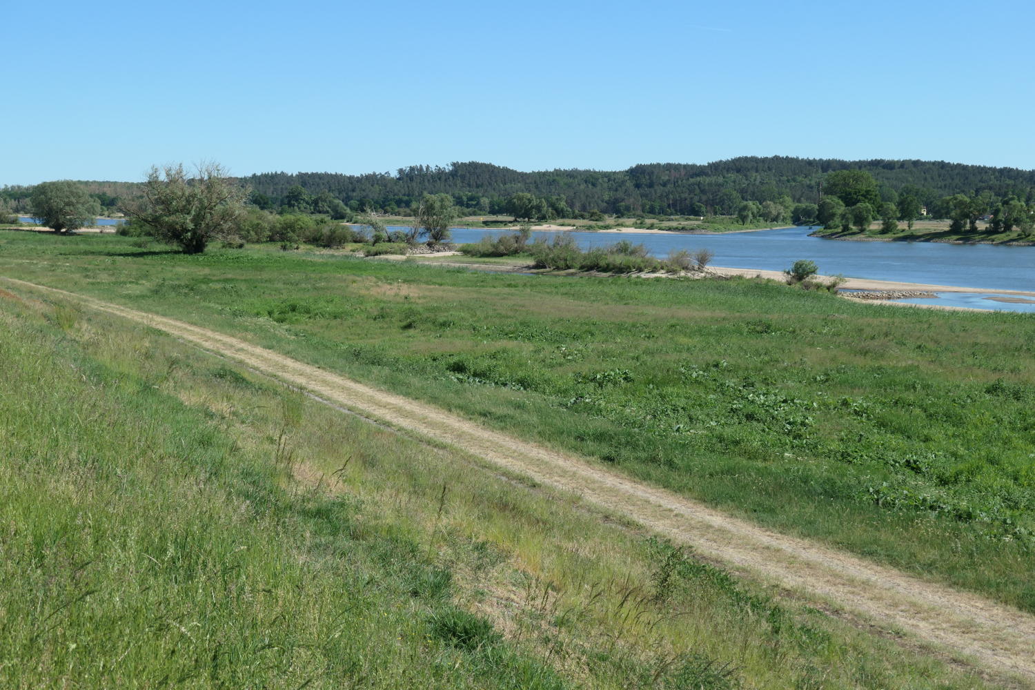 p1000251.jpg