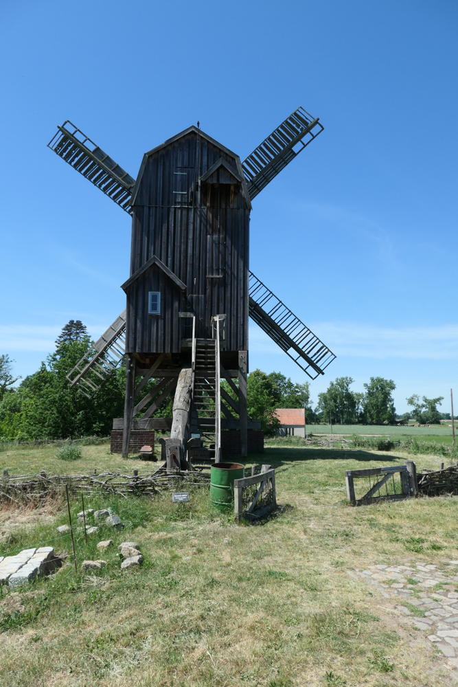 p1000277.jpg
