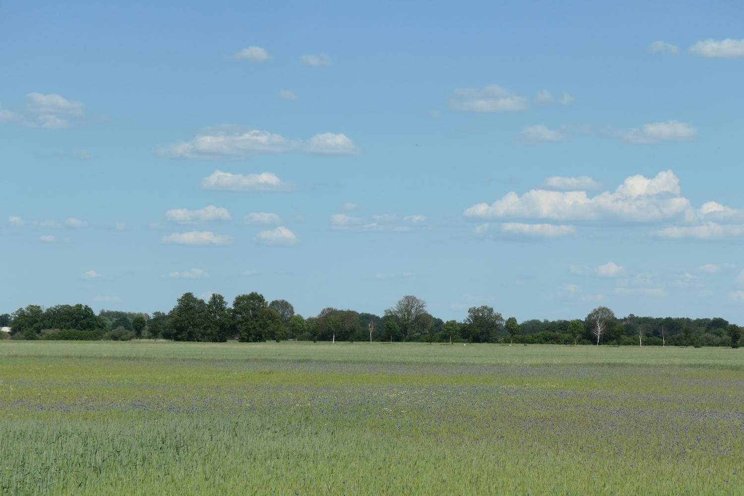 p1000290.jpg