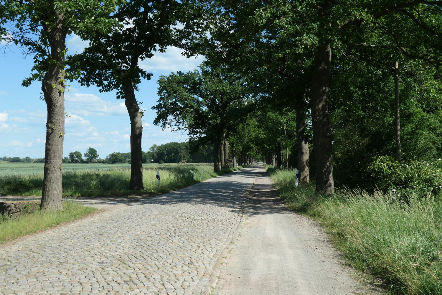 p1000304.jpg