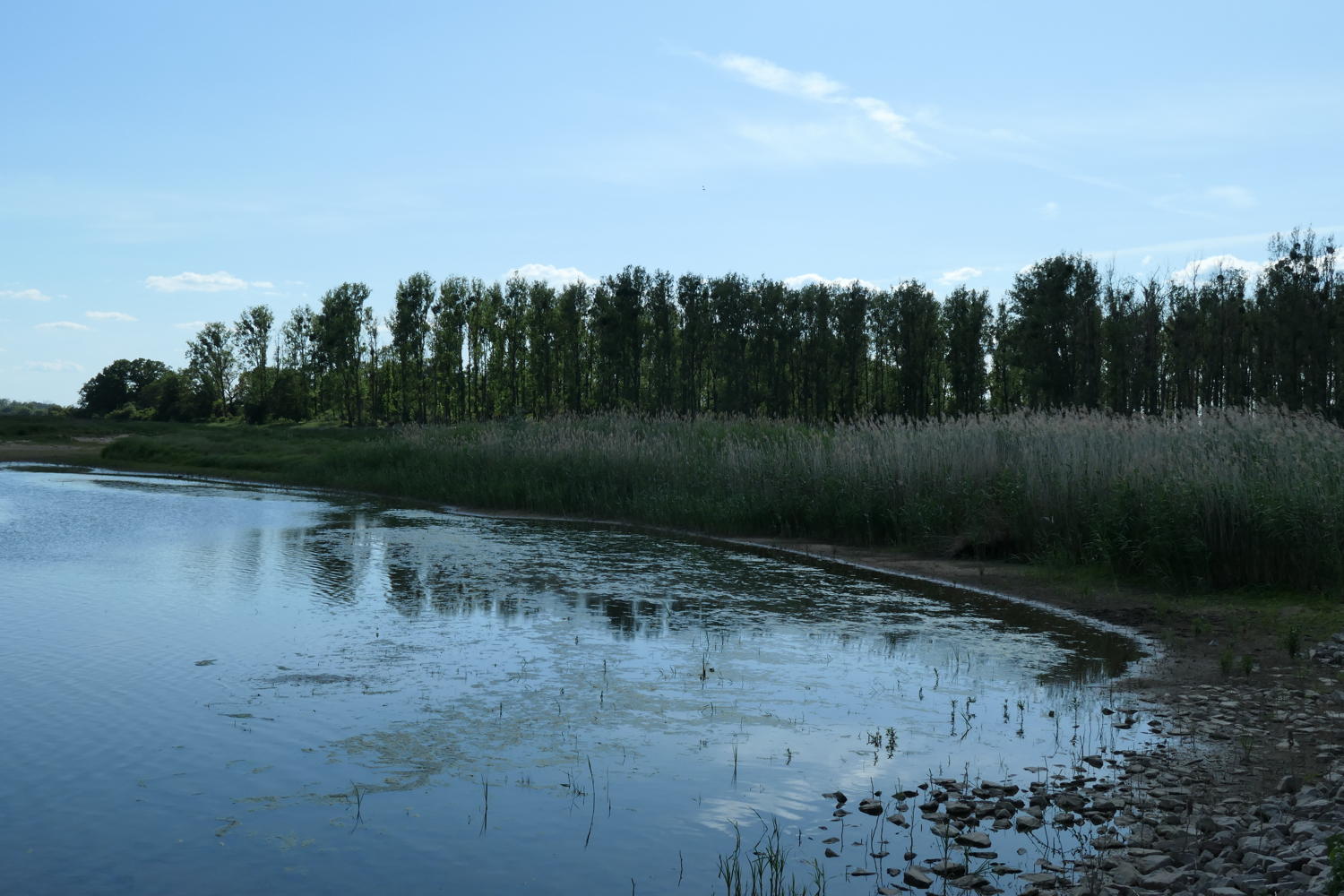 p1000310.jpg