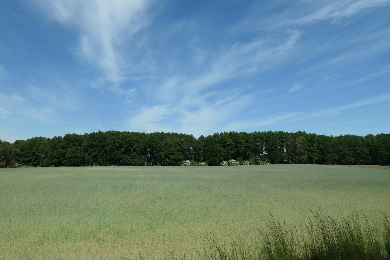 p1000330.jpg