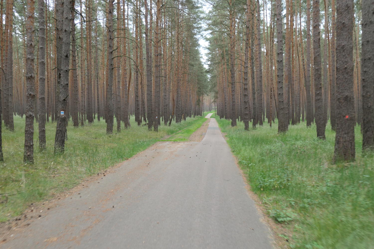 p1000358.jpg