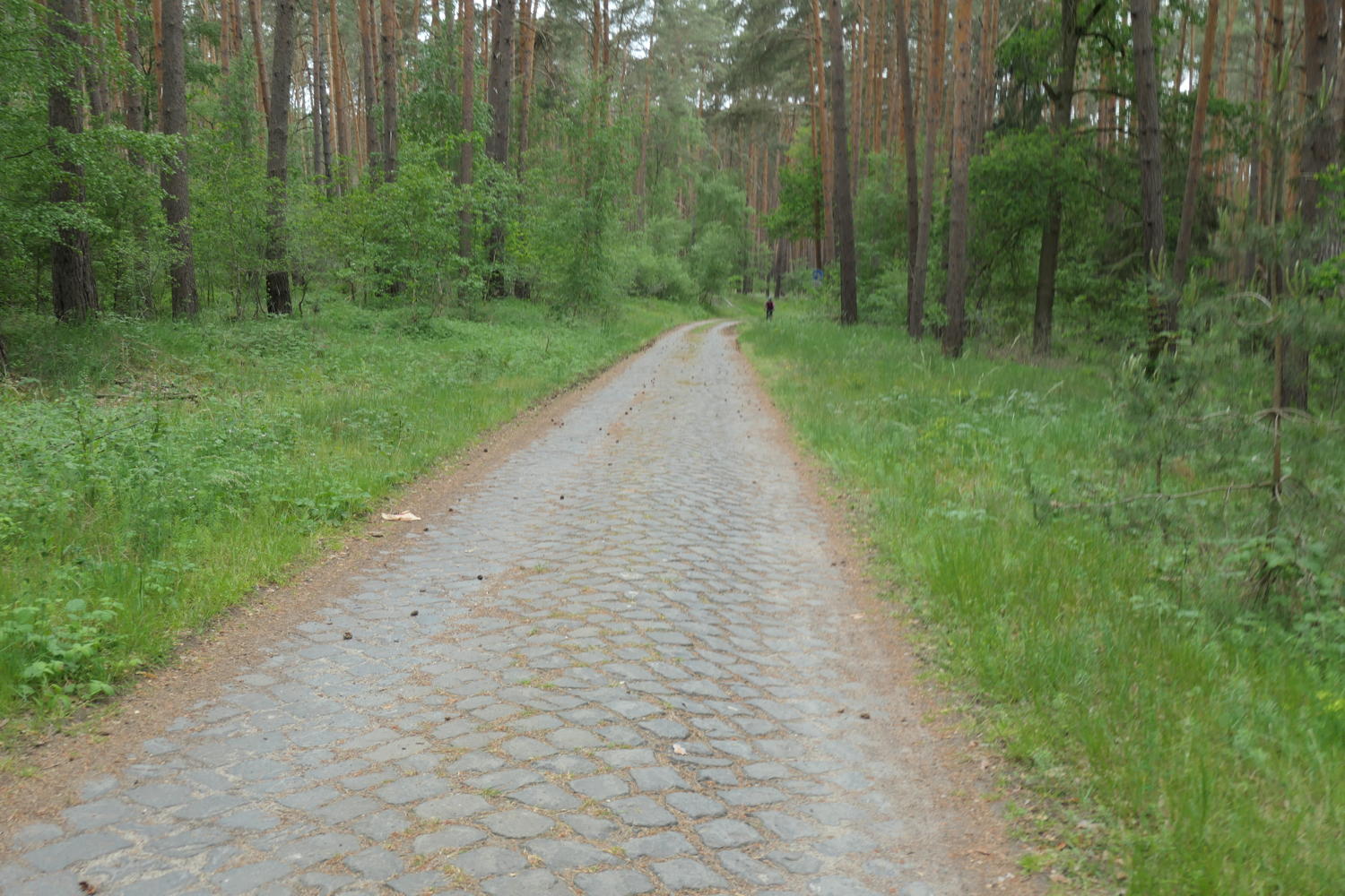 p1000361.jpg