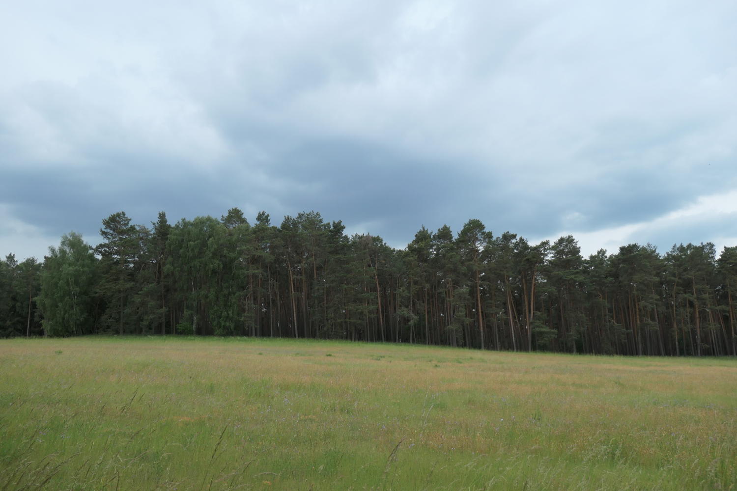 p1000362.jpg