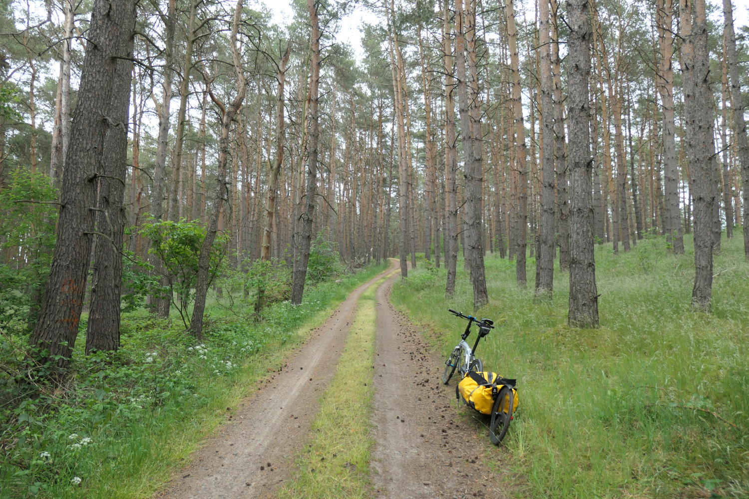 p1000364.jpg